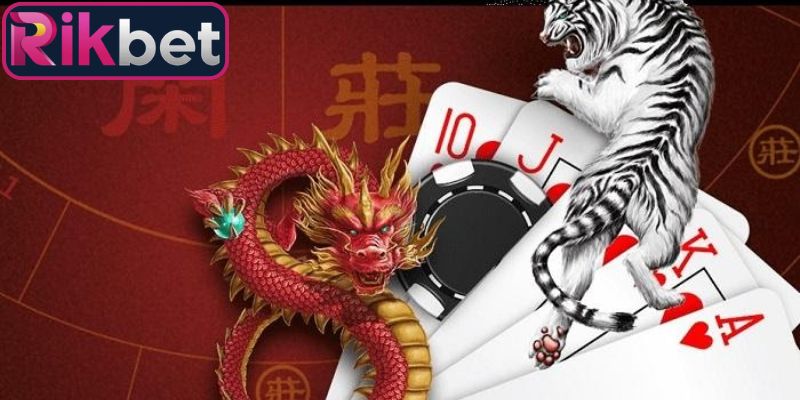Rồng Hổ Rikbet - Bí Quyết Săn Thưởng Đỉnh Cao Năm 2026 4 Mẹo hữu ích khi bạn tham gia vào rồng hổ Rikbet